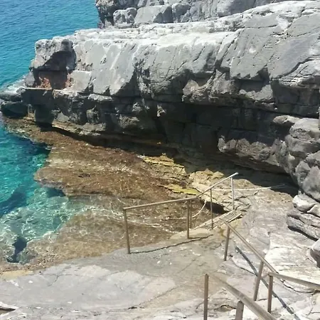 Pogonitsa
