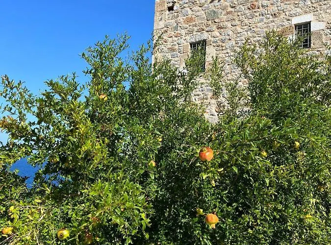 Pogonitsa Lejlighed *